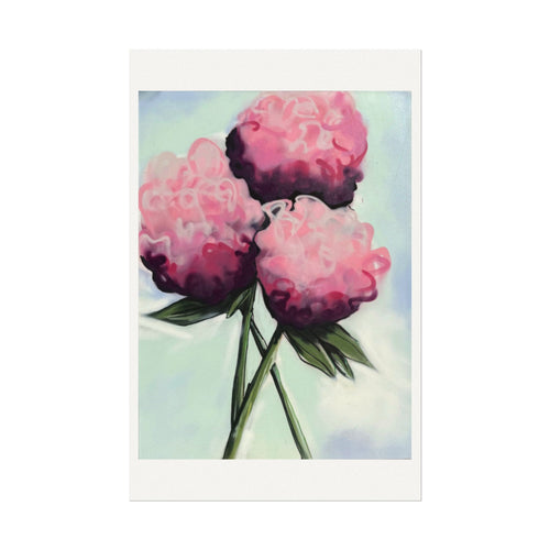 3 Hydrangeas