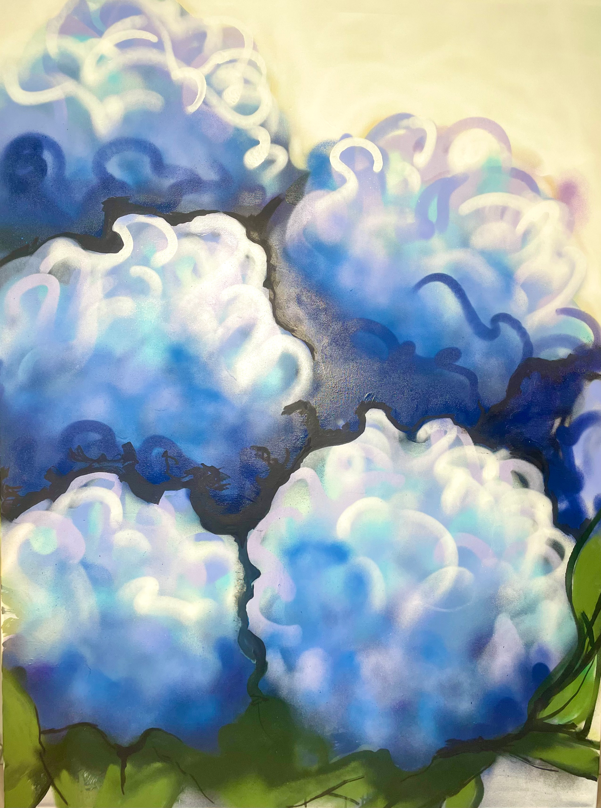 6 Blue Hydrangeas