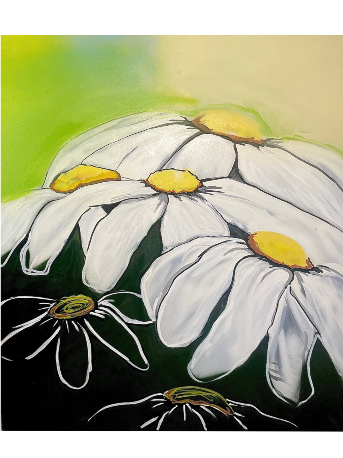 6 Daisies