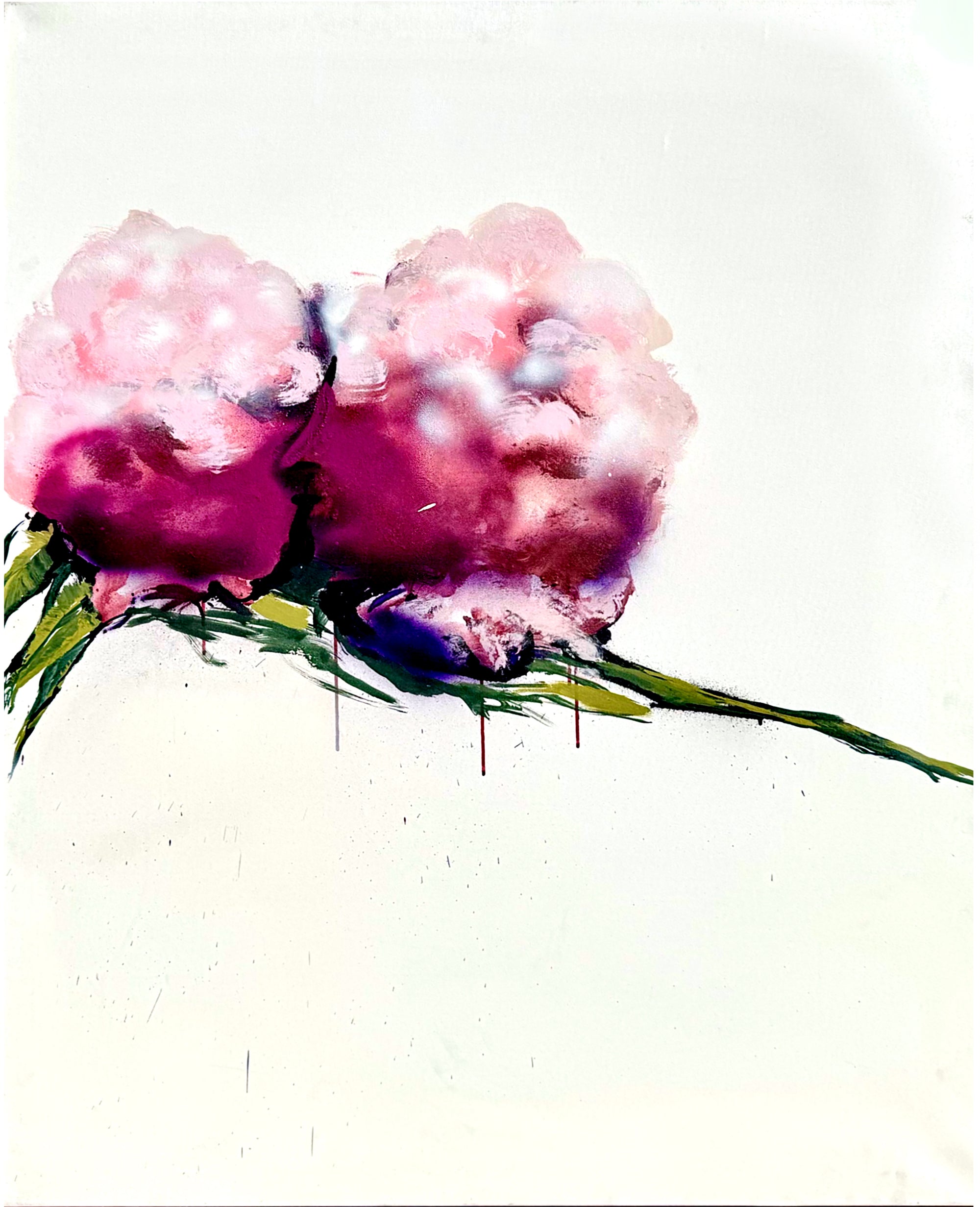 2  Hydrangeas