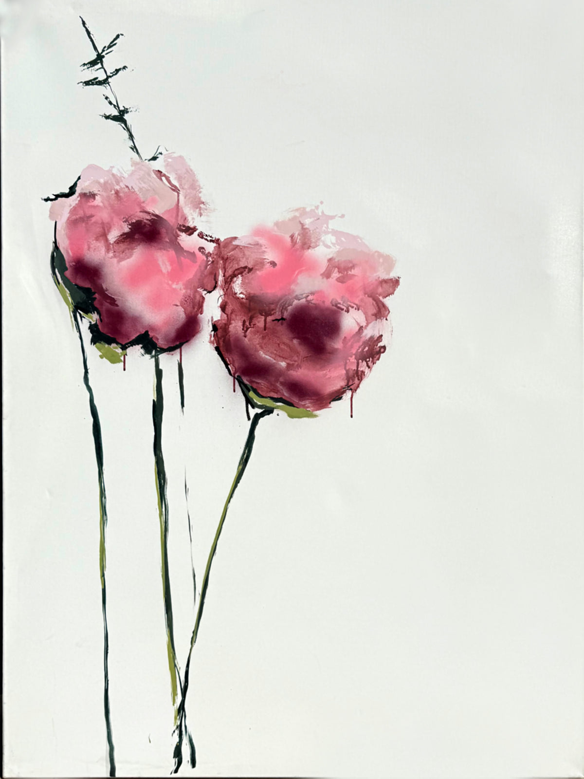 Pink Poppies